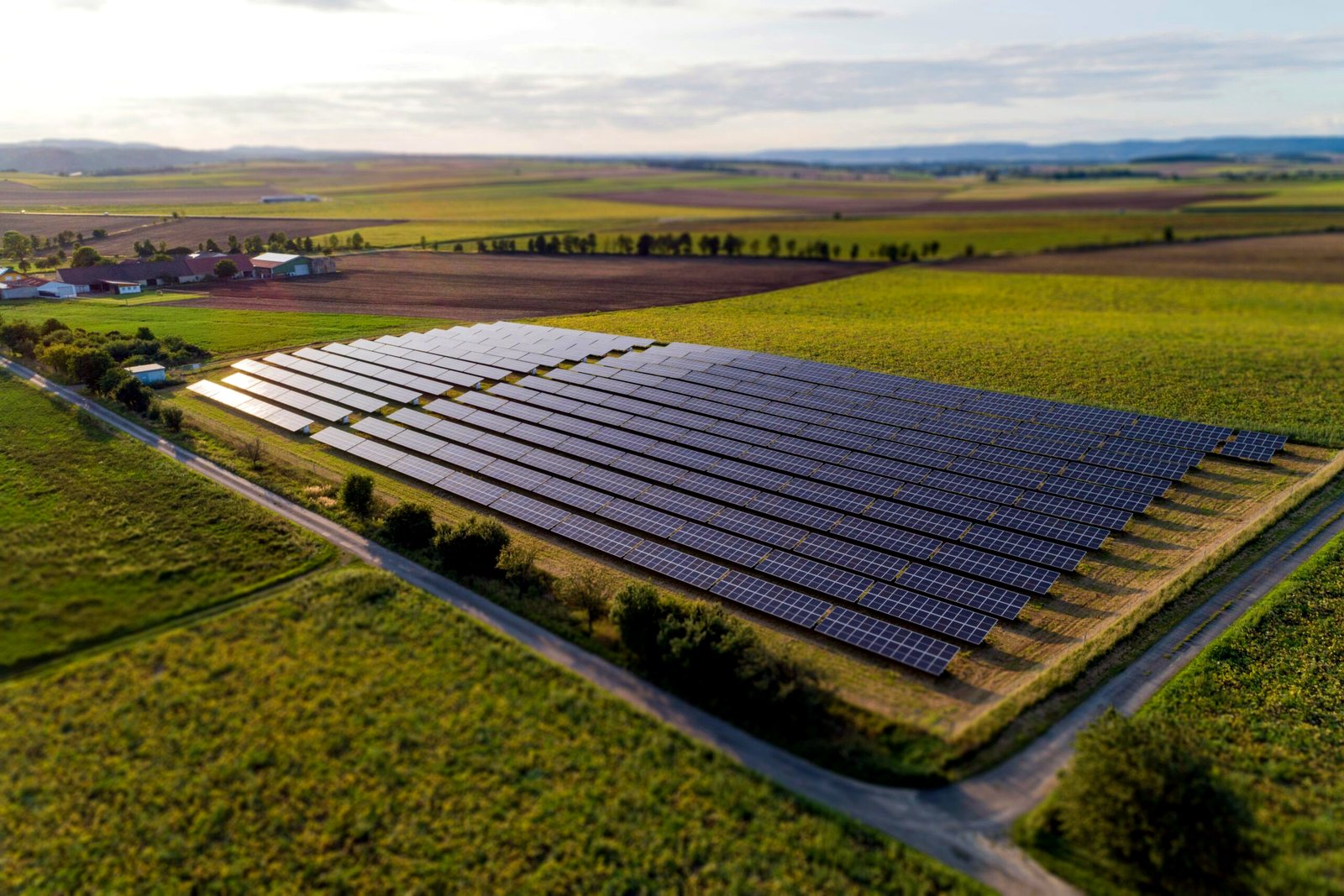 Country Biomass